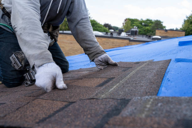 Roof Gutter Cleaning in Taylorsville, NC