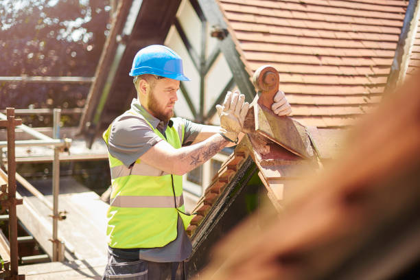 Best Roof Gutter Cleaning  in Taylorsville, NC